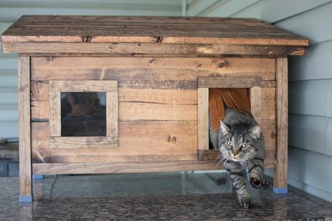 I built a house for our outdoor cat - Album on Imgur Diy Outdoor Cat House, Outside Cat House, Cat House Plans, Outdoor Cat Shelter, Feral Cat Shelter, Feral Cat House, Cardboard Cat House, Wooden Cat House, Cat Houses Indoor