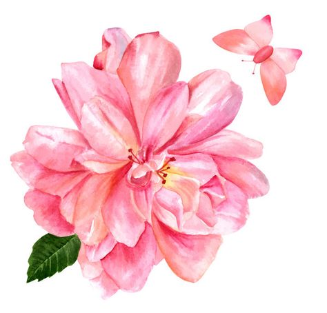 Download Pink flower watercolor vector in EPS format. Flower,Pink,Watercolor Vector Background and more resources at freedesignfile.com Watercolor Vector, Plant Icon, Watercolor Plants, Flower Watercolor, Stitch Ideas, Vector Free Download, Single Flower, Watercolor Rose, Pink Watercolor