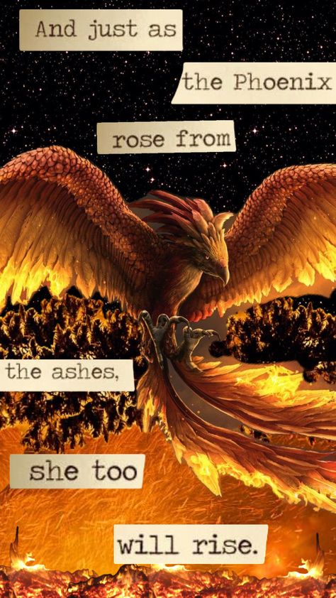 Learning the animator thing and I am NOT very good at it lol #phoenix #rise #wallpaper #quotes #vibes #nature #fire #art #random #pretty #inspo #click Fire Phoenix Wallpaper, Phoenix Aesthetic Bird, Pheonix Aestethic Wallpaper, Phoenix Wallpaper Iphone, Phoenix Core, Rise Wallpaper, Phoenix Princess, Phoenix Aesthetic, Phoenix Fire Bird