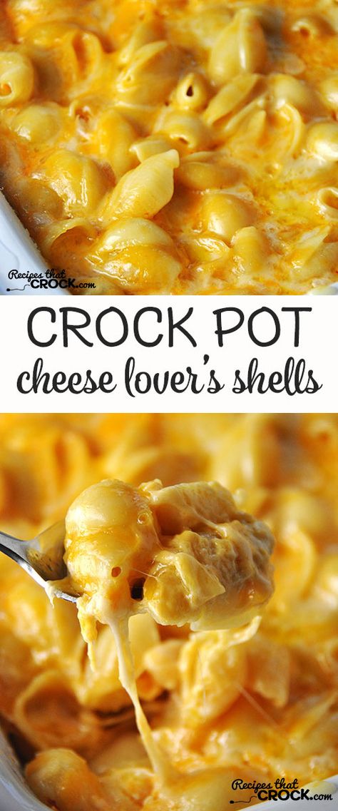 This Cheese Lover's Crock Pot Shells is so simple and has an amazing flavor! Shells And Cheese, Simple Dinners, Crock Pot Food, Stuffed Shells Recipe, Crockpot Dishes, Crock Pot Slow Cooker, Crockpot Recipes Slow Cooker, Interesting Food, Crock Pot Cooking