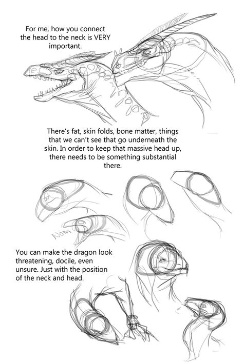 Dragons Tumblr, Dragon Anatomy, Dragon Sketch, Creature Drawings, Dragon Artwork, Dragon Drawing, Creature Concept Art, Dragon Design, Creature Concept