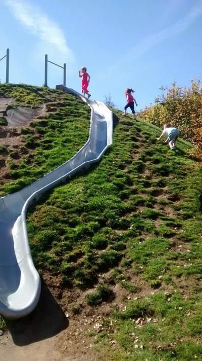 Ok- summit park in issaquah! I want to go! It has slides built into the side of the hill  Amazing! Backyard Decoration Ideas, Backyard Slide, Issaquah Washington, Sloped Backyard, Diy Playground, Hillside Landscaping, Children Park, Park Playground, Natural Playground