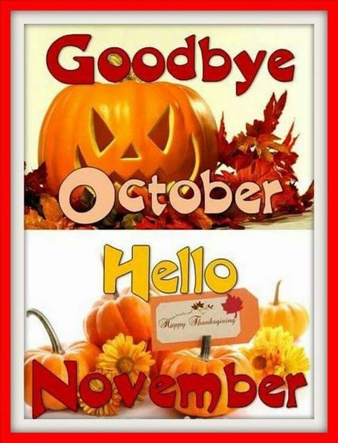 Pumpkin Goodbye October, Hello November november hello november november quotes welcome november goodbye october goodbye october hello november november images november pics Hello November Pictures, October Captions For Instagram, October Captions, Goodbye October Hello November, Bye October, Hallo November, November Hello, Goodbye October, October Hello