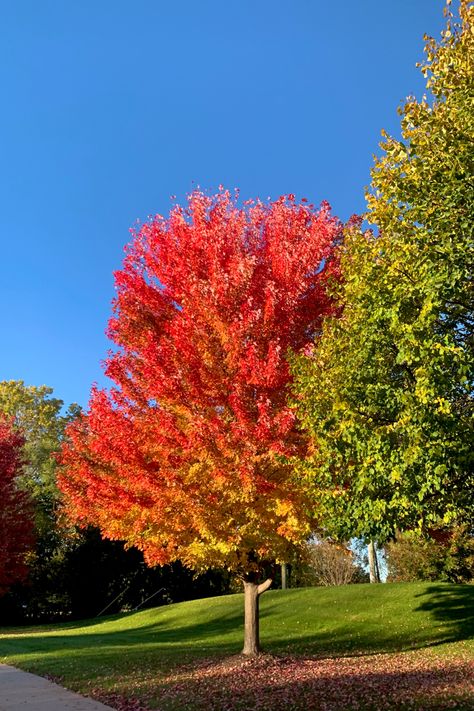 First Day Of Autumn, Smell Of Rain, Walking In The Rain, Autumn Scenes, Season Of The Witch, Cozy Autumn, Fall Feels, Best Seasons, Fall Aesthetic