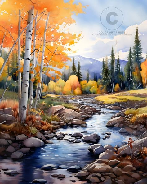 Rocky Mountains Colorado Watercolor Art Print, Autumn Aspen Trees Art Print 8x10 | eBay Aspen Forest Painting, 2d Felting, Colorado Watercolor, Aspen Trees Painting, Colorado Painting, Birch Trees Landscaping, Rocky Mountains Colorado, Aspen Art, Tree Painting Canvas