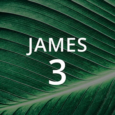 Taming the Tongue - James 3 | Abide Taming The Tongue, James 3, The Tongue, Buying Gifts