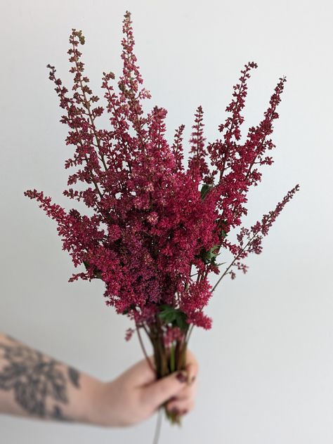 Burgundy Astrantia, Burgundy Astilbe, Borthwick Castle, Wedding December, Edinburgh Castle, Burgundy Flowers, Castle Wedding, Wedding Florals, Vintage Frames