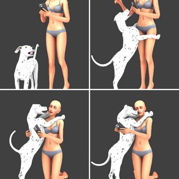 Sims 4 Pet Pose Pack, Sims 4 Large Dog Poses, Sims 4 Animal Poses, Ts4 Pet Poses, Pet Poses Sims 4, Sims 4 Dog Poses, Sims 4 Pet Poses, The Sims 4 Pose, Sims4 Pose