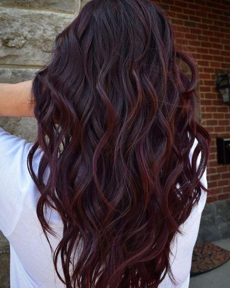 Wine hair color after dye job Josh Boynton #haircolorideas Red Highlights, Way To Go, Dark Hair, Highlights, Hair Color, Wine, Purple, Wall, Red