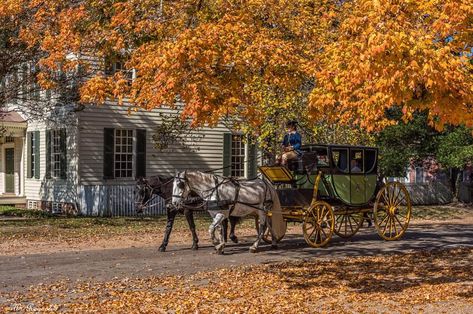 Yorktown Battlefield, Colonial Williamsburg Va, Colonial Williamsburg Virginia, Virginia Fall, Virginia Vacation, Ghost Walk, Fall Vacations, 17th Century Art, Williamsburg Virginia