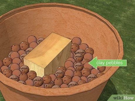 How to Fill a Tall Planter (with Pictures) - wikiHow Planting Tall Planters, Plants In Tall Planters, How To Fill A Tall Planter Front Porches, Planting In Large Planters, Tall Pots With Plants Outdoor, How To Fill Tall Planters Flower Pots, How To Fill Deep Planters, Planting Large Pots Outdoor Planters, How To Fill A Planter Large Pots