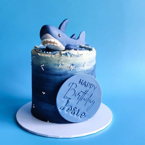 IKEA Blahaj Shark Bento Cake 🦈💜🌈 I think this may be one of my favourite cakes of all time 😂 I love making little quirky things! #cake #chocolatecake #birthdaycake #blahaj Ikea Blahaj, Shark Themed Cakes, Blahaj Shark, Nyc Cookies, Chunky Cookies, Shark Birthday Cakes, Shark Themed Party, Themed Party Ideas, Shark Cake