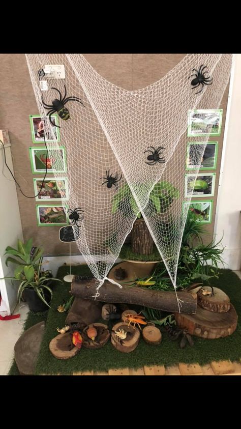 Insect Reggio Emilia, Insects Display Classroom, Insect Small World Play, Insect Provocations Preschool, Insect Decorations Classroom, Insects Activities For Kindergarten, Insects Provocation, Insect Provocations, Insects Activities For Kids