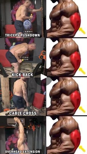 42K views · 320 reactions | Highly Effective triceps workout for you !The triceps brachii is a large, thick muscle on the dorsal part of the upper arm. It often appears in the shape of a horseshoe on the posterior aspect of the arm.The primary function of the triceps is the extension of the elbow joint.You need to do 12 reps and 3 sets of each exercise.#kamalc32 #tricepsworkout #tricepsexercise #tricepstraining #triceps #tricepsday #gymworkouts #gymexercises #gym | kamalc32 | kamalc32 · Original audio Tricep Workout Machine Gym, Db Tricep Workout, Tricep On Cable Machine, Bicep And Tricep Workout On Cable Machine, Chest And Tricep Workout Machine, Machine Exercises, Triceps Workout, Upper Arms, Kick Backs