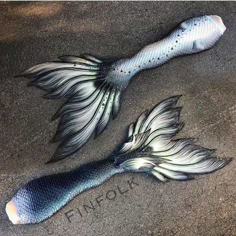 THIS IS NOT A DRILL!!! MY @FINFOLKPRODUCTIONS CUSTOM SILICONE MERMAID TAIL IS FINALLY IN MY ARMS! I’M SO HAPPY!!!!!! For those who don’t… Mermaid Tail Ideas, Tail Ideas, Trash Magic, Diy Mermaid Tail, Realistic Mermaid Tails, Fin Fun Mermaid Tails, Real Life Mermaids, Realistic Mermaid, Fin Fun Mermaid