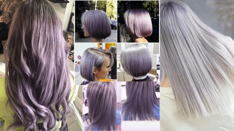 Ash Purple Hair Color, Ash Purple Hair, Silver Lavender Hair, Silver Purple Hair, Purple Hair Color Ideas, Ice Hair, Purple Hair Color, Lavender Hair Colors, Brassy Hair