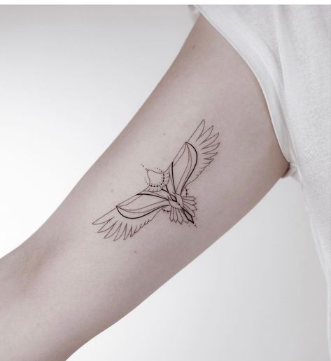 Spiritual Hawk Tattoo, Hawk Tattoo Minimalist, Hawk Outline Tattoo, Eagle Tattoo Linework, Simple Eagle Tattoos For Women, Masculine Feminine Tattoo, Minimalist Hawk Tattoo, Bald Eagle Tattoo For Women Feminine, Round Shoulder Tattoo