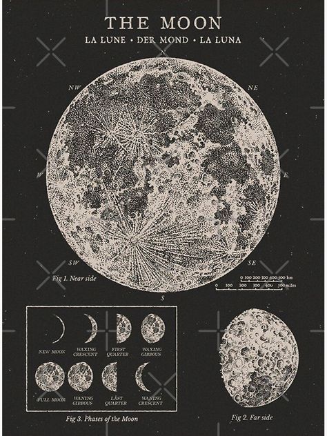 25 Aesthetic, Aesthetic Pictures For Wall Collage, Vintage Astronomy Prints, Aesthetic Pictures For Wall, Celestial Chart, Pictures For Wall Collage, Moon Chart, Pictures For Wall, Moon Phases Art