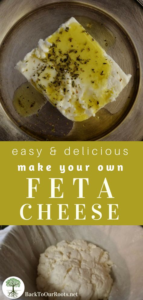 HOMEMADE FETA CHEESE: Feta is one of the easiest cheeses to make and it doesn't need special equipment. Salty, tangy, delicious. Make some today! Make Feta Cheese, Homemade Feta Cheese, Homemade Feta, Cheese Recipes Homemade, Cheese Making Recipes, Cheese At Home, Goat Milk Recipes, Feta Cheese Recipes, Diy Cheese