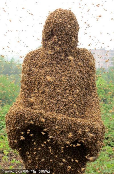 Bee Farming, Classic Pictures, Honey Photography, Bee Swarm, Bee Colony, Dark Beauty Photography, Bee Free, Bee Skep, Bee Keeper