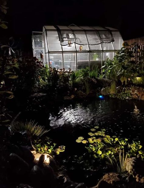 Pond and Greenhouse at night Greenhouse At Night, Green House, At Night, Building, Green, Quick Saves