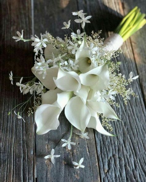 Cala Lily Bouquets, White Calla Lily Wedding Bouquet, White Calla Lily Bouquet, Calla Lily Bridal Bouquet, Small Wedding Bouquets, Simple Wedding Bouquets, Orchid Flower Arrangements, Calla Lily Bridal, Calla Lily Wedding