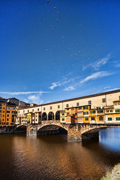 Italy Pisa, Florence Bridge, Florence Travel, Bo Derek, Europe Italy, Firenze Italy, Pisa Italy, Toscana Italia, Places In Italy