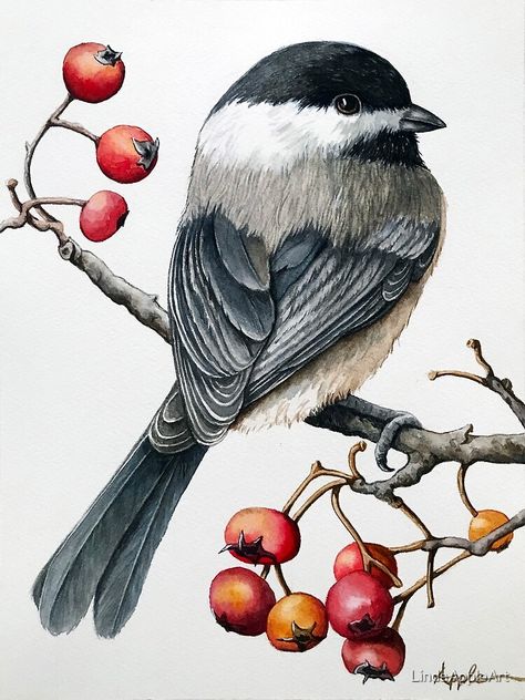 "Chickadee watercolor bird nature " by LindaAppleArt | Redbubble Chickadee Painting, Chickadee Art, Vogel Tattoo, Christmas Everyday, Bird Watercolor Paintings, Bird Paintings, Wildlife Paintings, Watercolor Flower Art, German Art