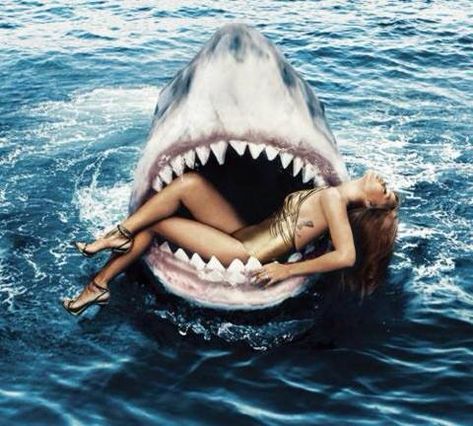 "When you're about to be eaten alive by a shark and your crush is watching " Harpers Bazaar Covers, Harley Quinn Halloween, Shark Swimming, Fashion Magazine Cover, Harley Quinn Cosplay, Saint Michael, Rihanna Fenty, Shark Week, Harper’s Bazaar