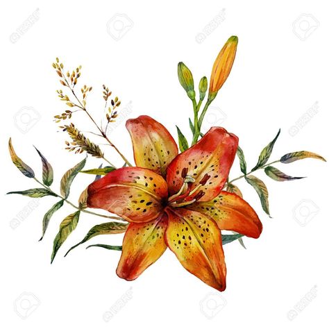 Lily Tattoo Designs, Creature Tattoo, Tiger Lily Flowers, Tiger Lily Tattoos, Lillies Tattoo, Lily Tattoo Design, Lilies Drawing, Lily Flower Tattoos, 16 Tattoo