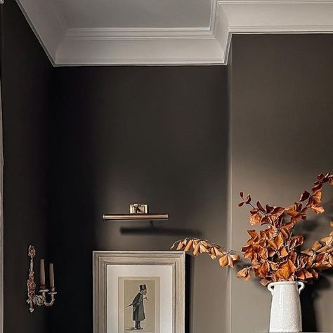 Dark Farrow And Ball Colours, London Clay Farrow And Ball Bedroom, Pantalon Farrow And Ball, Cardamom Farrow And Ball, Farrow And Ball Cardamom, Tanners Brown Farrow And Ball, London Clay Farrow And Ball, Farrow And Ball Colour Schemes, Farrow And Ball Bedroom