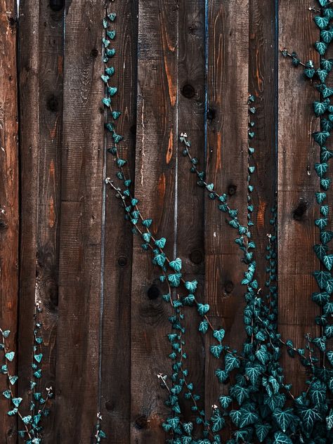 Relaxing Photos, Ivy Plant, Turquoise Wallpaper, Wooden Plank, Ivy Plants, Green Ivy, Unique Products Design, Green Theme, Disney Princess Art