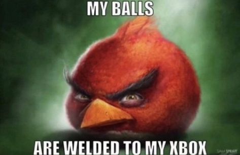 Red Angry Bird, Meme Show, Angry Bird, Me Too Meme, Silly Pictures, Oui Oui, Angry Birds, Internet Funny, Really Funny Pictures