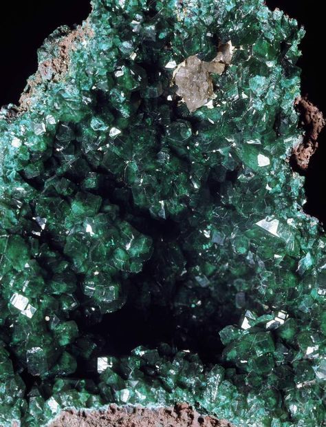 You can make an emerald green crystal geode by by growing ammonium phosphate crystals overnight in a plaster geode. Diy Crystal Growing, Grow Crystals, Making Crystals, Make Crystals, Grow Your Own Crystals, Crystal Growing, Borax Crystals, Crystal Making, Growing Crystals