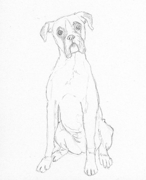 Boxer Dog Sketch by BattleKat's Boutique Drawing Boxer Dog, Boxer Reference Drawing, Boxer Dogs Drawing, Boxer Dog Line Drawing, How To Draw A Boxer Dog Step By Step, Boxer Puppy Drawing, Drawing Of Dogs Sketches, Boxer Dog Drawing Easy, How To Draw A Boxer Dog