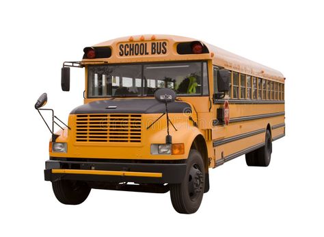 Yellow School Bus, Chartered Bus, School Buses, Wheels On The Bus, Teacher Memes, Party Bus, School Trip, Bags Aesthetic, School Photos