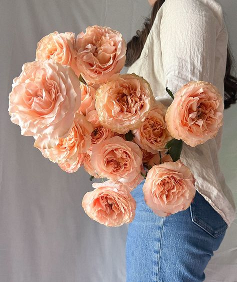 Princess Crown rose, perfect for the color of the year 🍑 Peach Garden, Flower Subscription, Most Beautiful Gardens, Detroit Wedding, Metro Detroit, Floral Designer, Wildflower Seeds, Princess Crown, Garden Inspired