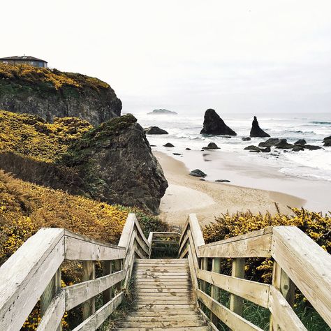 Our friends at travel app Spot call out their favorite off-radar finds along the Pacific coast, from scenic inns to amazing oysters Pacific Coast Road Trip, Canon Beach, Oregon Beaches, Koh Chang, Oregon Travel, Cannon Beach, Koh Tao, Beach Getaways, Pacific Coast