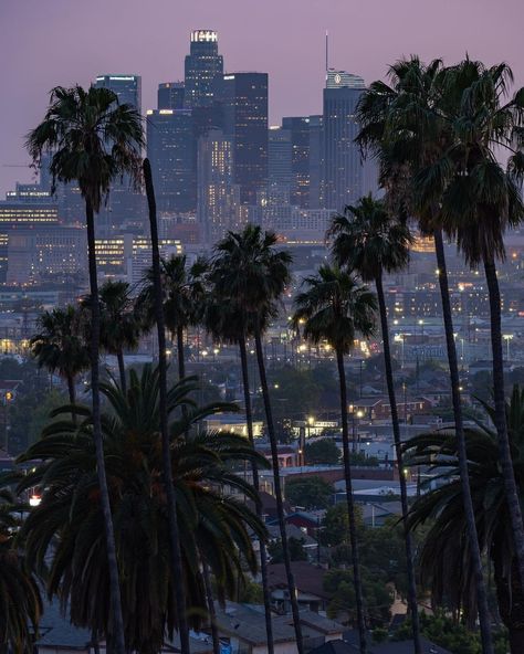 Secret Los Angeles on Instagram: “Concrete Jungle 🌴 🌃⁠ #myscretla⁠ ⁠ 📸: @goldn.state⁠ .⁠ .⁠ .⁠ #losangeles #cali #californiaadventure” La Aesthetic, Los Angeles Aesthetic, Los Angeles Travel, City Of Angels, California Dreamin', Dream Holiday, Dream City, Concrete Jungle, California Adventure