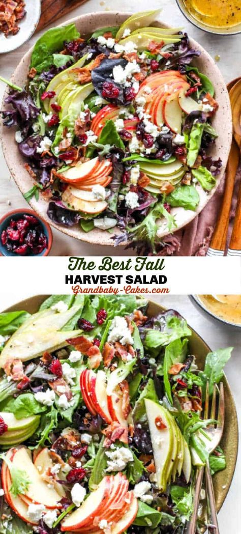 Cider Dressing, Apple Cider Vinaigrette, Autumn Fruit, Dressing Salad, Autumn Salad Recipes, Cider Vinaigrette, Thanksgiving Salad, Fall Salad, Harvest Salad