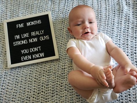 Baby Newborn Weekly Photos, 5 Month Old Letterboard Ideas, 5 Month Letterboard Ideas, 5 Month Old Milestones Photo Ideas, 5 Month Milestones Pictures, Baby Pictures Funny, 5 Months Baby Photoshoot Ideas, New Baby Girl Quotes, Photoshoot Quotes