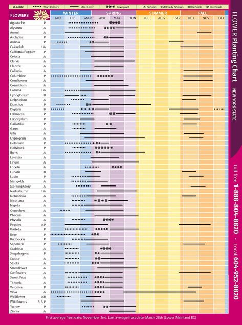 Flower Planting Chart New York State Zone 9 Planting Schedule Flowers, Fall Planting Guide, Vegetable Planting Calendar, Planting Schedule, Vegetable Planting Guide, Plant Hardiness Zone Map, When To Plant Vegetables, Flower Chart, Planting Calendar