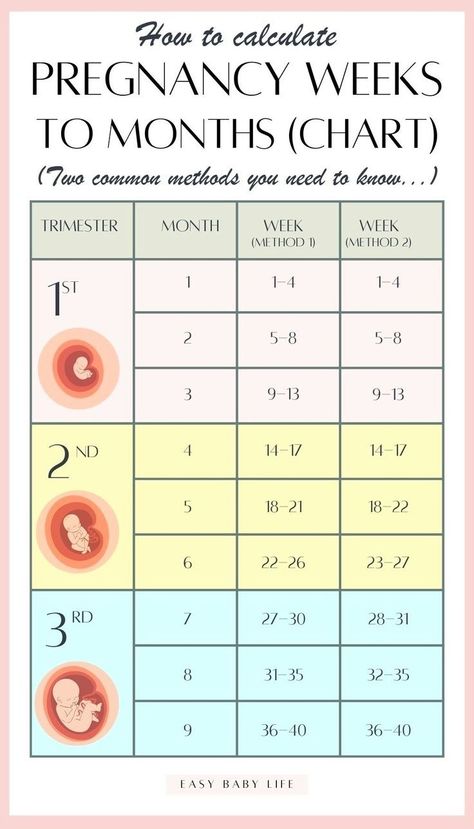 Finding how to calculate pregnancy weeks to months CONFUSING? Well, it is! Bookmark this super handy pregnancy weeks to months  chart with two common methods! The article also explains how to calculate the trimesters of pregnancy and due date. Perfect first pregnancy info for new moms!  (Also for mamas interested in pregnancy tips, pregnancy advice, pregnancy week by week, pregnancy stages, early pregnancy, pregnancy months, getting pregnant, pregnancy guide.) Pregnancy Weeks To Months, Weeks To Months Pregnant, Trimester Chart, Pregnancy Weeks, Conception Date, Pregnancy Chart, Week By Week Pregnancy, Baby Weeks, Pregnancy Timeline