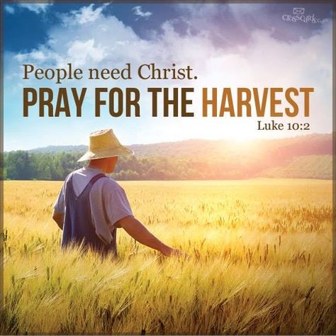 Luke 10:2 These were his instructions to them: “The harvest is great, but the workers are few. So pray to the Lord who is in charge of the harvest; ask him to send more workers into his fields. Prays The Lord, Prayer Warrior, The Harvest, Lord And Savior, The Kingdom Of God, Verse Quotes, Christian Life, Way Of Life, The Words