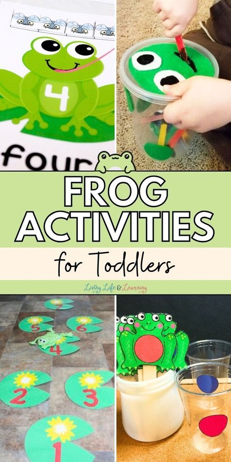 Dive into the world of frog-themed homeschool play with these engaging   Frog Activities for Toddlers! From sensory bins to creative crafts,   these ideas offer a ribbiting good time while promoting learning and   development. Hop on over and explore the wonderful world of frogs with   your toddlers today! Five Green And Speckled Frogs Activities, Toddler Frog Activities, Preschool Frog Activities, Frog Crafts For Toddlers, Frog Activities For Toddlers, Frog Activities For Preschool, Amphibians Activities, Frogs Preschool, Biology For Kids