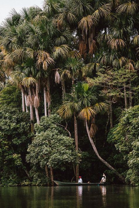 A hotel review of Inkaterra Hacienda Concepcion in the Peruvian Amazon. - Fathom South American Jungle, South American Aesthetic, Amazonas Aesthetic, Peruvian Aesthetic, Peru Jungle, Peru Amazon, Amazon Aesthetic, Peruvian Amazon, Peru Travel Guide