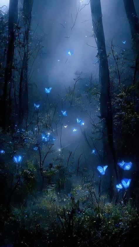 Nature Background Aesthetic, Aesthetic Nature Background, Flower Nature Aesthetic, Forest Wallpaper Iphone, Butterfly Forest, Funny Situations, Blue Butterfly, Butterflies, Forest