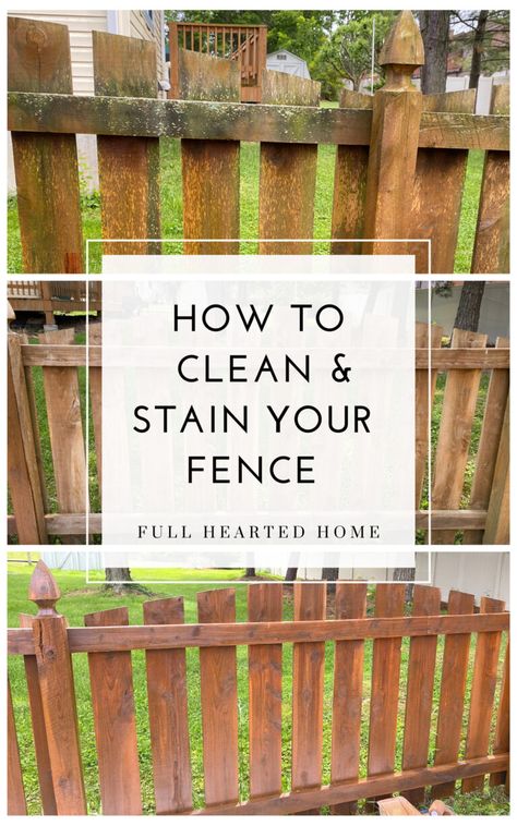 How to Clean & Stain Your Fence | Easy and inexpensive! // Fence Makeover, Re-do a Fence, Staining Exterior Fence Staining Fence Diy, Coastal Hygge, Diy Wooden Fence, Inexpensive Fence, Stained Fence, Fence Makeover, Exterior Fence, Staining Wood Fence, Fence Staining