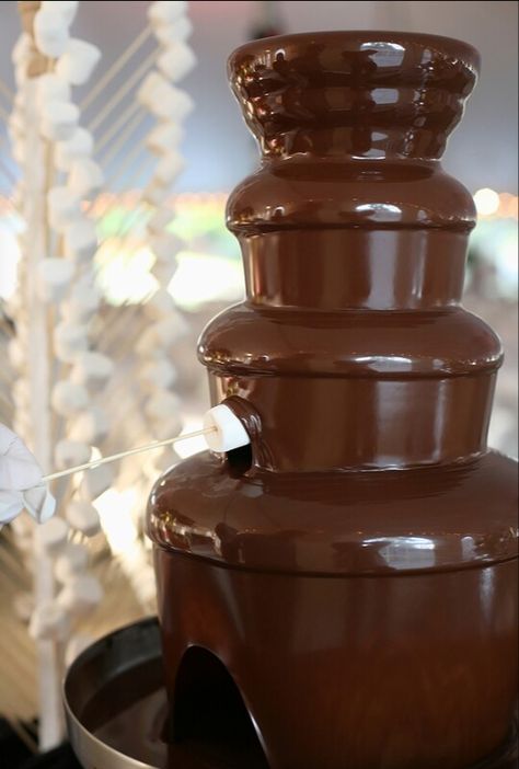 Chocolate Fountain Wedding, Chocolate Fondue Fountain, Fondue Fountain, Blueberry Tea, Assorted Nuts, Wonka Chocolate, Chocolate Fountain, Chocolate Pictures, Fruit Displays