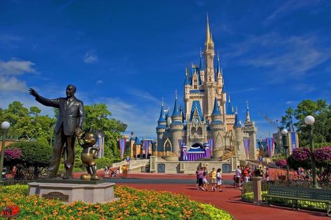 Disney Desktop Wallpaper, Backgrounds Laptop, Dunia Disney, Disney World Castle, Disneyland Castle, Disney World Christmas, Disney World Pictures, Disney World Magic Kingdom, Wallpaper Disney